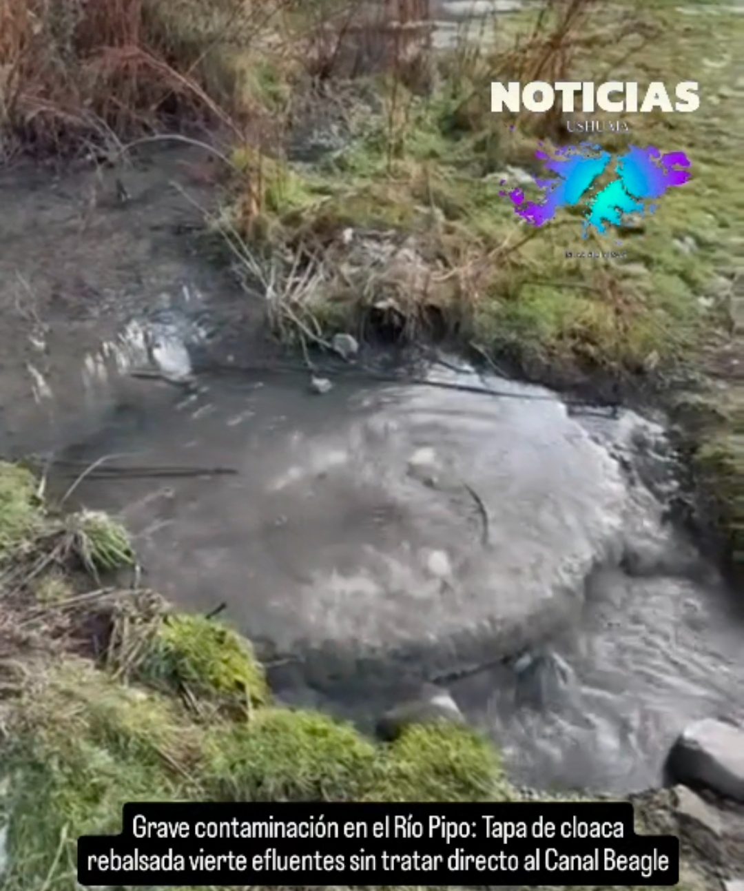 Grave contaminación en el Río Pipo: Tapa de cloaca rebalsada vierte efluentes sin tratar directo al Canal Beagle