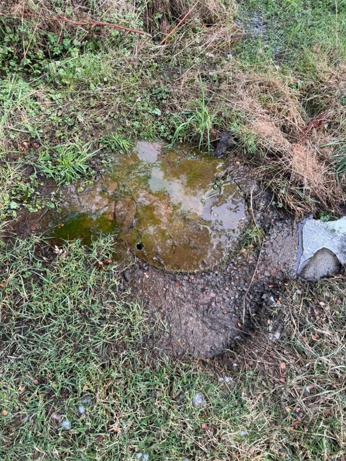 ​Alerta ambiental en Río Pipo: persiste desborde cloacal e impacta directamente en el curso de agua