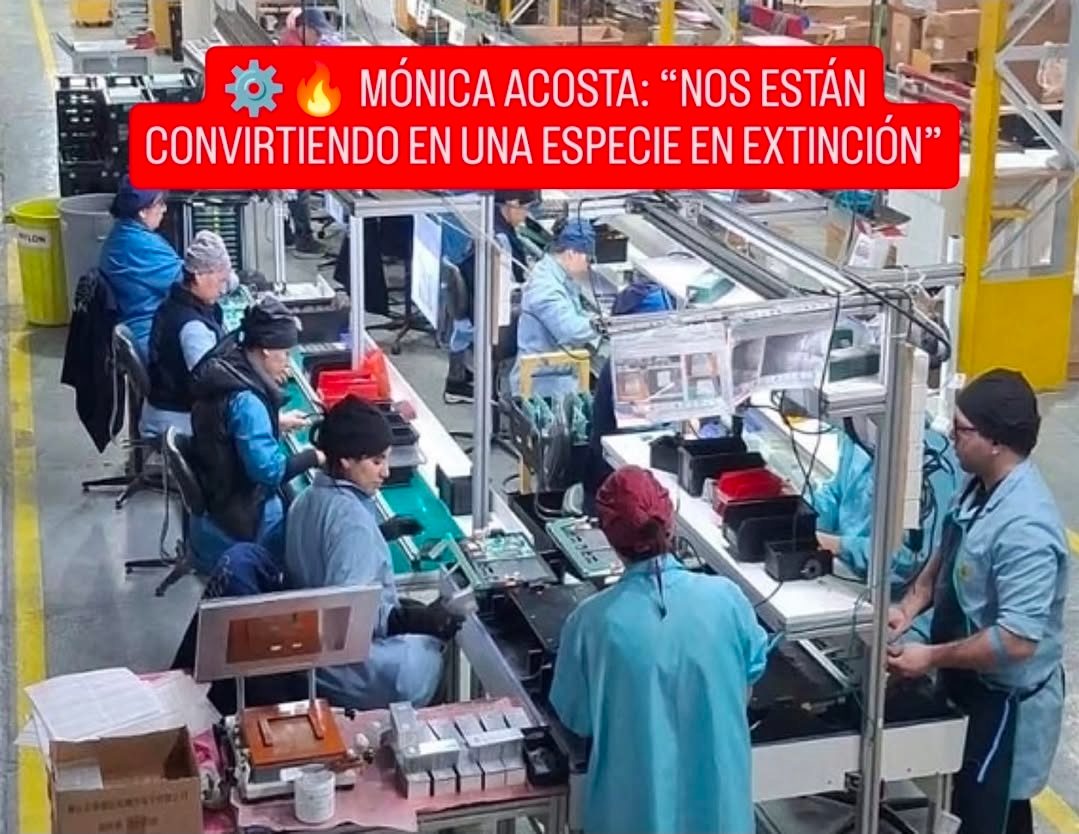 ⚙️🔥 MÓNICA ACOSTA: “NOS ESTÁN CONVIRTIENDO EN UNA ESPECIE EN EXTINCIÓN”