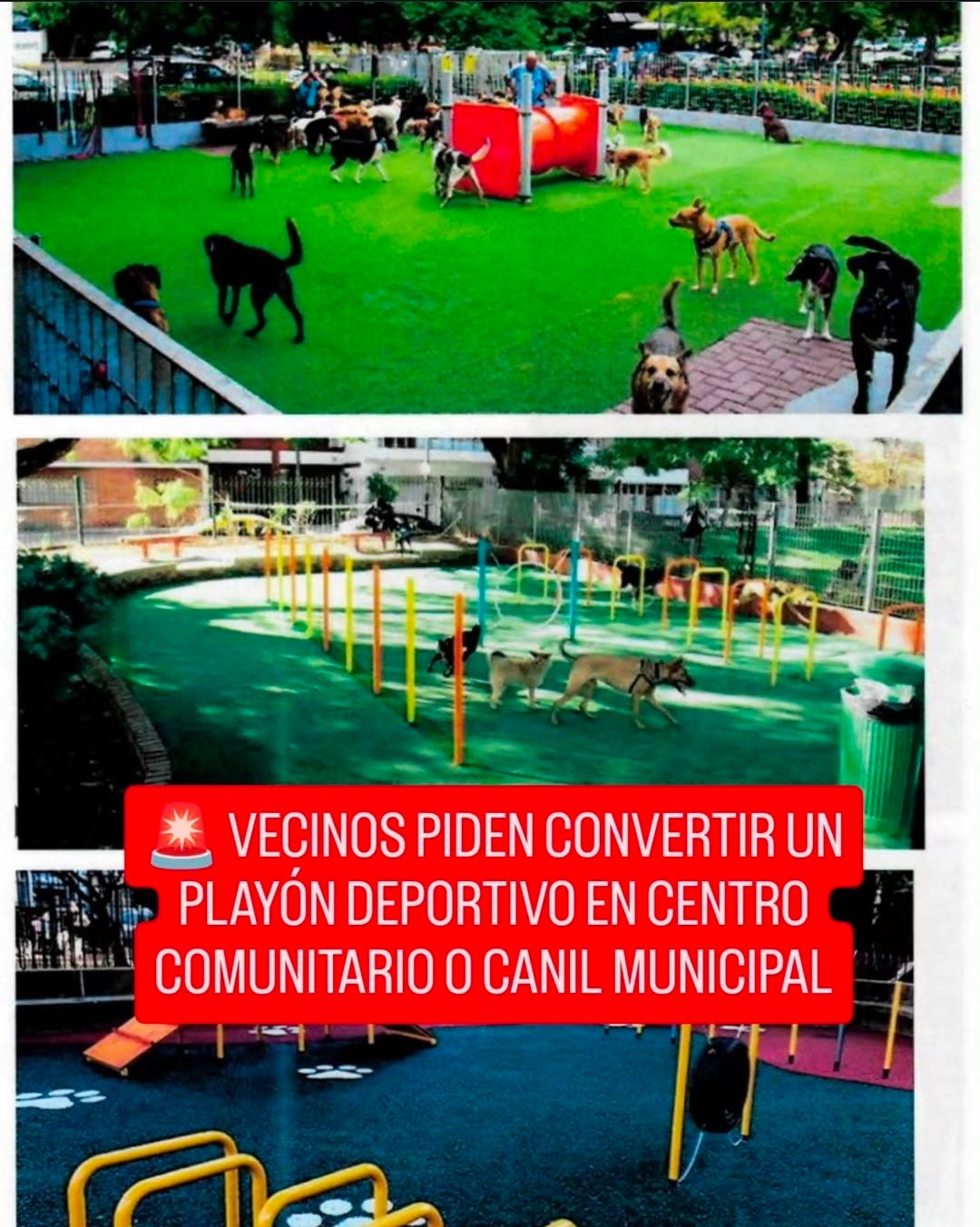 🚨 VECINOS PIDEN CONVERTIR UN PLAYÓN DEPORTIVO EN CENTRO COMUNITARIO O CANIL MUNICIPAL