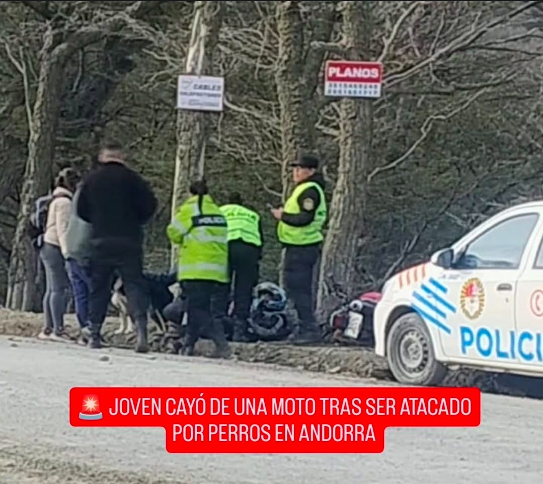 JOVEN CAYÓ DE UNA MOTO TRAS SER ATACADO POR PERROS EN ANDORRA