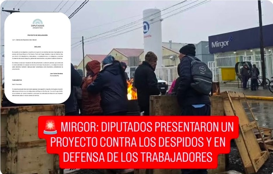  MIRGOR: DIPUTADOS PRESENTARON UN PROYECTO CONTRA LOS DESPIDOS Y EN DEFENSA DE LOS TRABAJADORES
