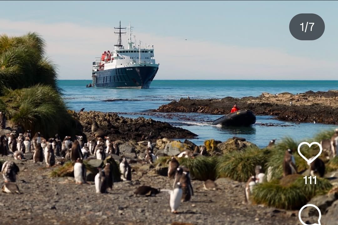 SOBERANÍA Y TURISMO: UNA EMPRESA DE EXPEDICIONES POLARES PROMOCIONA VIAJES A LAS ISLAS MALVINAS PRESENTÁNDOLAS COMO "TERRITORIO BRITÁNICO"