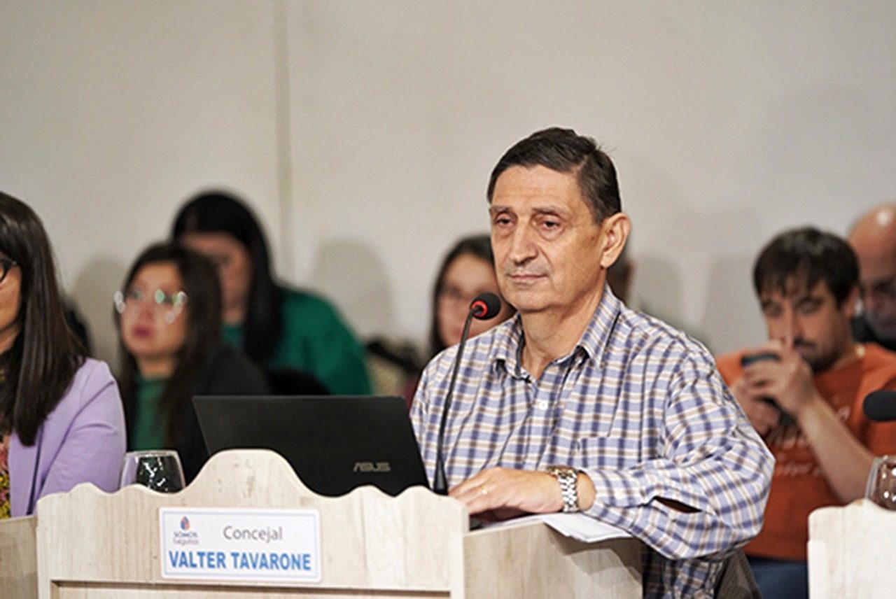 Terrenos nacionales en Ushuaia: Tavarone pidió diálogo con Nación para definir el futuro de Bahía Golondrina
