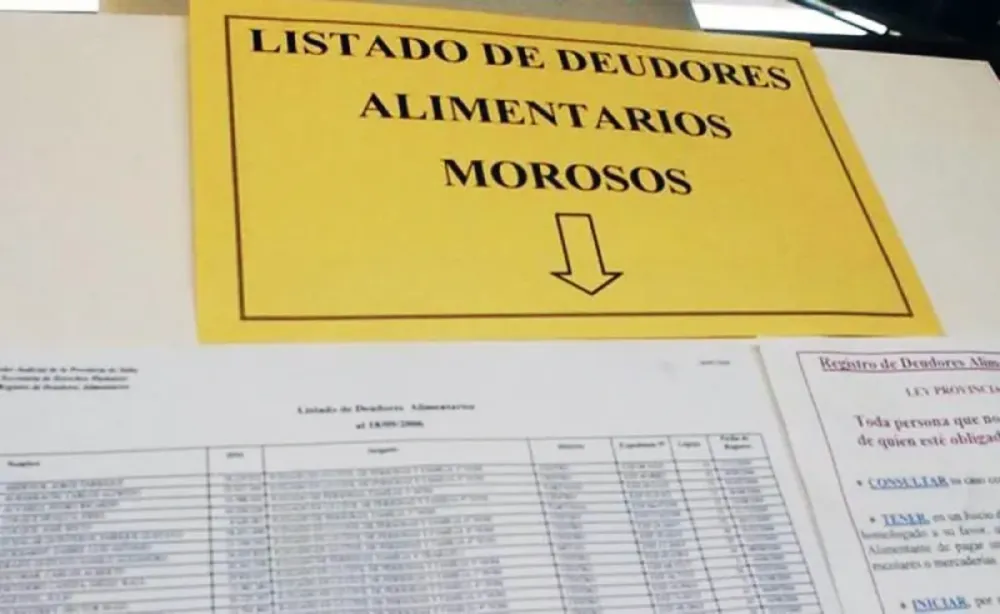 ALARMA EN TIERRA DEL FUEGO: YA HAY 112 DEUDORES ALIMENTARIOS REGISTRADOS